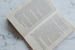 La fille du train livre : chronique du thriller de Paula Hawkins