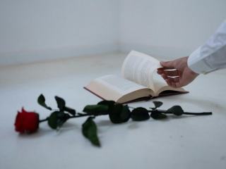 Livre Roméo et Juliette : histoire, réécritures et adaptations