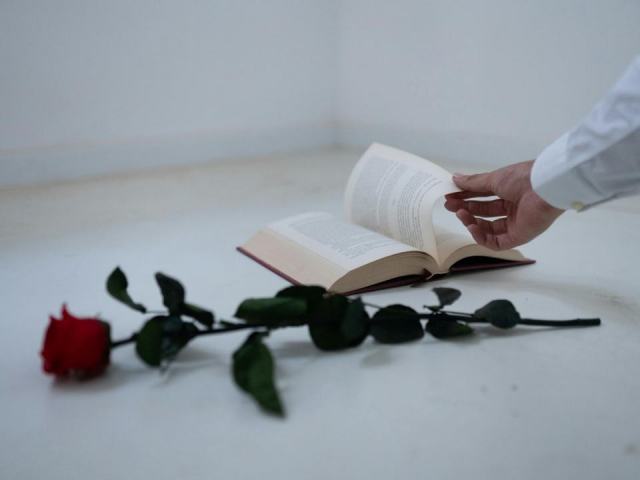 Livre roméo et juliette : blog livres et lecture Roméo et Juliette : de Shakespeare aux adaptations contemporaines