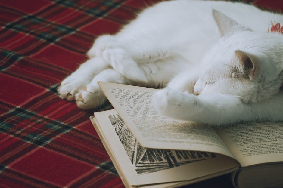 Demain les chats de Bernard Werber : notre chronique