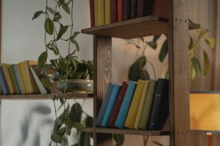 Ma bibliothèque cocooning faite maison : conception et réalisation