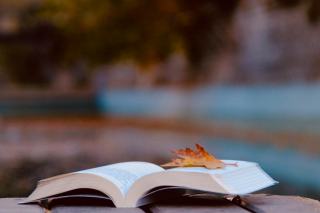 Archives février 2017 : Fahrenheit 451 et articles livresque