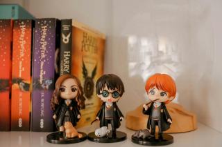 Livre Harry Potter couverture rigide : les éditions collector